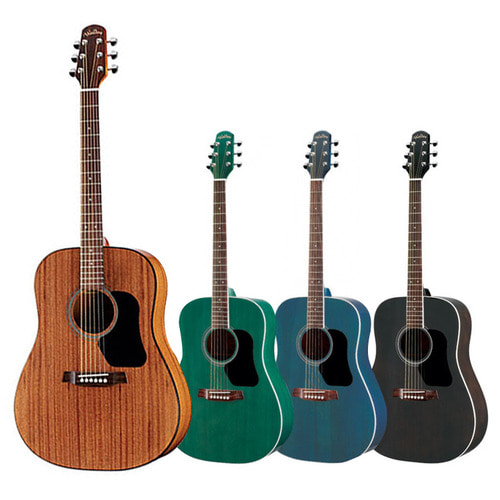 Walden 월든 어쿠스틱 기타, 입문자용 4가지 색상 [D351]